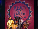 Bonga (Afro-Latino festival 2011)