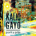 Kalio Gayo