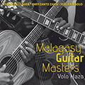 Malagasy Guitar Heroes
