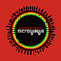Microguagua